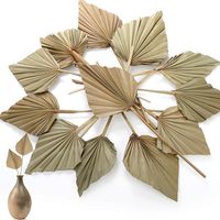 Feuilles de palmier Lance Feuilles de palmier naturelles Lance de palmier Fête des mères Saint Valentin Noël Merci Cadeaux pour chaque fois