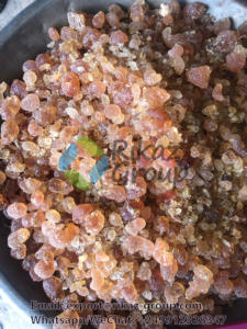 Goma de Acacia árabe de Sudán de calidad superior obtenida directamente para alimentos y bebidas, producto agrícola Rikaz - Product Image 2