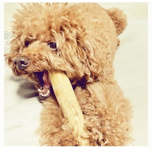 Café de madera mejor precio proveedor de Vietnam - Product Image 4