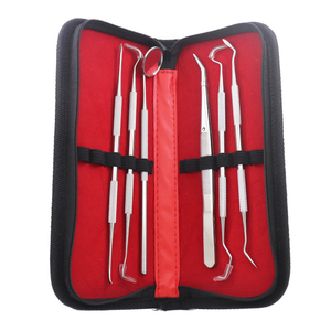 ชุดตรวจทางทันตกรรม10ชิ้นทำจากสเตนเลสสตีลสำหรับเครื่องมือผ่าตัดทันตแพทย์มืออาชีพผ่านการรับรอง CE - Product Image 4