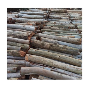 Eucalyptus Wood Round <b>Logs</b> for Landscaping - Garden, Mulch, and Decorative - Product Image 1