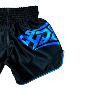 Vente chaude 2025 Shorts Muay Thia de haute qualité Short de boxe personnalisé MMA Fabriqué en usine Kickboxing Shorts thaïlandais RRI-MS-02 - Product Image 6