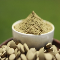 Poudre d'écorce de Séné Sauvage Biologique, Extrait Herbal, Laxatif Naturel de Qualité Alimentaire, Favorise une Digestion Saine, Extraction par Solvant, Conditionnement en Fût