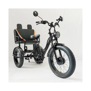 Triciclo de Pasajeros con Motor Eléctrico de Alta Potencia Disponible para Compras a Gran Escala con Suministro Constante - Product Image 1