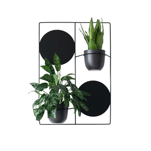 Jardinières suspendues en métal, acier noir enduit de poudre, décoration de jardin d'intérieur - Product Image 1