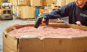 Nuevo espectrómetro de rayos X óptico XRF portátil de mano, analizador de espectro de silicio y carbono, Metal precioso óptico C + SI - Product Image 6