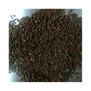 เมล็ดดอกกะหล่ำดิบสำหรับงานโฆษณาแบบไฮบริดเมล็ดพันธุ์เกรดคุณภาพสูง - Product Image 3