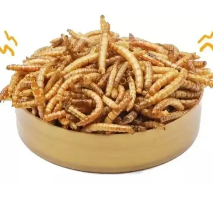 100% Natural Mealworms Great For Ducks Wild Birds And Fish Food Dried Mealworm Geramany