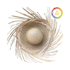 Best Price <b>Ladies</b> Sombrero Mexico <b>Hat</b> with Multi Colors/ Straw <b>Hat</b>/ Natural Material From Vietnam for Fashion 99 GOLD DATA - Product Image 5