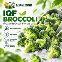 Bunga Brokoli Beku 2-4cm IQF Blanched Grosir untuk Layanan Makanan