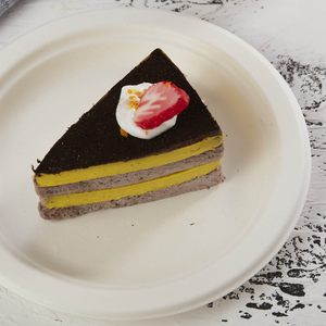 Platos de Bagazo Ecológicos y Duraderos para Fiestas, Picnics, Campamentos y Reuniones Públicas - Hechos en India - Product Image 6