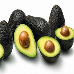 Avocat frais de meilleure qualité dans le monde entier aux prix de gros - Product Image 3