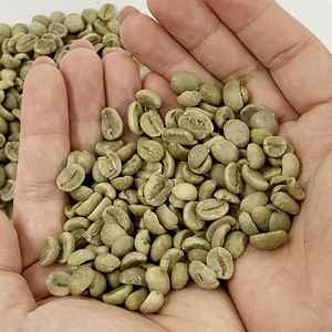 Granos de Café Verde Arábica de Alta Calidad, Estándar Europeo, Seleccionados a Mano, Grado 1 de Vietnam, Empaque Personalizado, Oferta Especial, Envío Rápido - Product Image 4