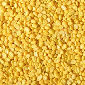 Moong Dal Amarillo Premium, Sin GMO, Alto en Proteínas, Suave al Cocinar, con un Año de Vida Útil, Apto para Suministro a Granel para Fábricas - Product Image 3