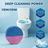 Tablettes nettoyantes et désodorisantes pour toilettes, anti-taches et anti-odeurs, sans danger pour les fosses septiques, blocs bleus à dissolution rapide