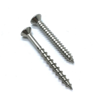 Complete in <strong>Specifications</strong> Direct Selling Carbon Steel Cone Point <strong>Hidden</strong> <strong>Camera</strong> Drywall Screw - Product Image 6