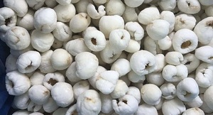 LICHEE DE RÉCOLTE DE JARDIN/ZÉRO ADDITIFS/SUPPORT IMMUNITAIRE/CONGELÉ PUR - Product Image 6