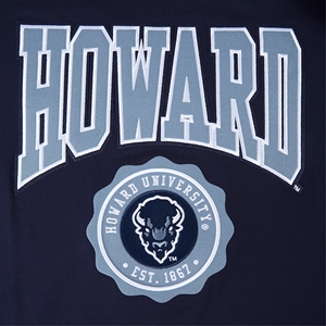 Camisetas Unisex de la Universidad Howard, Ropa Personalizada de las Universidades Historiamente Negras, Pedido al por Mayor, Tejido Transpirable, Manga Corta Formal, Impresión Serigráfica, Impresión Puff - Product Image 6