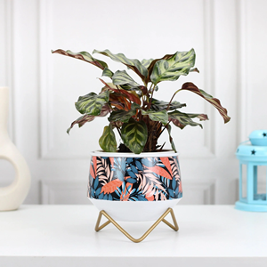 Jarrones de metal de estilo de lujo, jarrones de flores de metal de hierro de fábrica directa, flor de metal antiguo de hierro martillado personalizada - Product Image 1