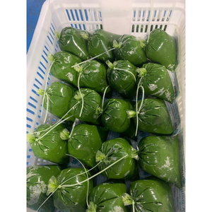 Feuilles de manioc en purée congelées de haute qualité lavées et blanchies disponibles en emballages sous vide pour l'exportation en gros - Product Image 2