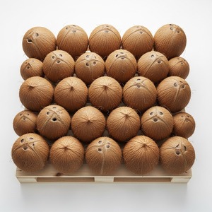 Noix de coco fraîches de qualité supérieure de Trusted Farms, idéales pour l'industrie alimentaire, l'huile d'eau de noix de coco et les applications de cuisson - Product Image 5