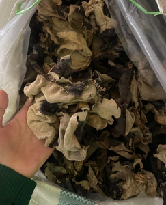 Việt Nam Khô Đen Nấm Cao Cấp Lớp Gỗ Tự Nhiên Tai Nấm Cho Nấu Ăn Xào Và Người sành ăn Thực Phẩm Công Thức Nấu Ăn - Product Image 6