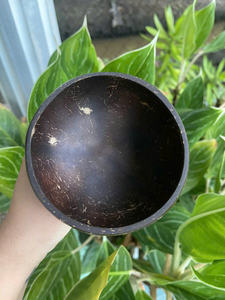 Tazas de coco ecológicas Naturaleza pulida de LOTO AZUL VIETNAM - Product Image 3