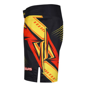 Vente en gros OEM sublimé No Gi Shorts pour enfants MMA Boxe Gym Training BJJ Grappling Combat Fighting Wear - Product Image 5