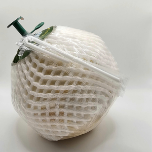 NOIX DE COCO NATURELLE FRAIS/EAU DE NOIX DE COCO RICHE/PRÊT À BOIRE/PARFAIT POUR L'INDUSTRIE DES BOISSONS - Product Image 6