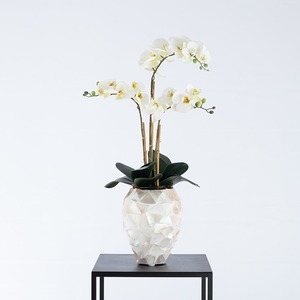 Vase en nacre Capiz moderne de haute qualité pour la décoration intérieure Vase cylindrique rond naturel sûr meubles de salle à manger en osier - Product Image 6