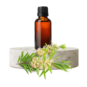 น้ำมันหอมระเหย Niaouli ออร์แกนิกบริสุทธิ์จากธรรมชาติ100% ส่วนผสมสำหรับผิวมีฉลากส่วนตัว - Product Image 1