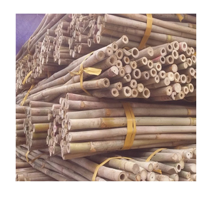Distribuidor de poste de bambú de 10-15cm para mayoristas - Product Image 2