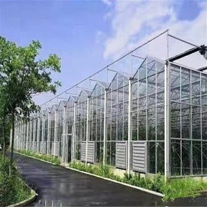 Commercial Multi Span Glass <b>Greenhouse</b> for Nursery Projects with Professional Design and Site Engineering Help - Product Image 1