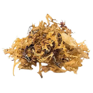 Événement d'épargne du printemps: 20% de réduction sur les coffrets cadeaux de mousse irlandaise (Seamoss Gold - Purple - chondrus crispus) au Vietnam - Product Image 5