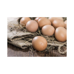 Huevos frescos premium de color marrón ofrecidos en lotes al por mayor para compradores globales - Product Image 2