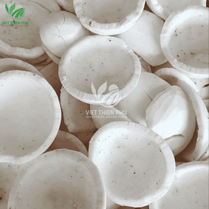 Pulpa de coco joven congelada IQF de Vietnam para hacer jugo en empaque a granel - Product Image 4