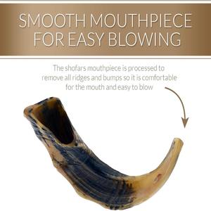 Shofar en corne de buffle lisse, inodore, facile à souffler, véritable artisanat religieux animal sculpté, personnalisable - Product Image 4