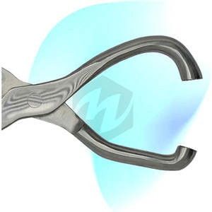 เครื่องมือตรวจเท้าม้า 19 นิ้ว ทำจากสแตนเลส สำหรับตรวจจับจุดอ่อน ตรวจเท้าม้า และการดูแลม้าอย่างมืออาชีพ - Product Image 2