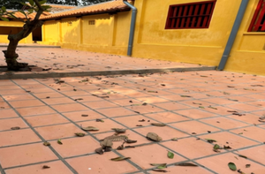 CTS-NNN-6 Smooth 30-Stud Terracotta Tile-Modern Interior Non-Slip <b>Square</b> Tile for Hotel & Villa - Product Image 5