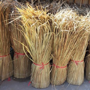 Rouleaux de paille de toiture naturelle en feuille de palmier sèche la plus vendue rouleau d'herbe séchée pour parapluie au toit de chaume - Product Image 6