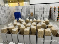 Hot Selling Premium Gedroogde Cashewnoten W320 W240 Droog Fruit Groothandel Gemaakt In Vietnam