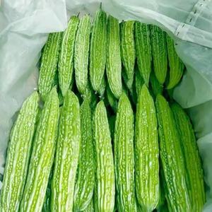 แตงขมแช่แข็งสดใหม่จากเวียดนามคุณภาพการส่งออกที่ยอดเยี่ยมเหมาะสำหรับผู้ซื้อจำนวนมากในราคาที่แข่งขันได้ - Product Image 3