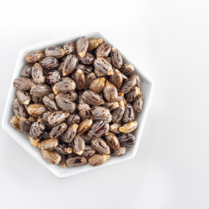 เมล็ดละหุ่งดิบ100% อินเดียสินค้าเกษตรอินทรีย์ - Product Image 2