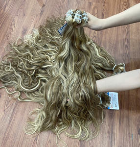 Vendeur chaud 100% vietnamien Remy naturel ondulé trame Piano couleur cheveux humains de haute qualité - Product Image 2