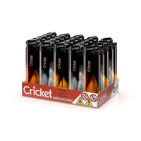 Briquets à Cricket Portables 100% Qualité Supérieure, Écologiques, Coupe-Vent, à Butane Jetable, Logo Personnalisé, Vente en Gros, Promotionnels