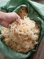 Penjualan terlaris Vietnam lumut laut ungu kering/emas penjahit Irlandia dengan & tanpa garam/makanan super Eucheuma cottonii rumput laut ANNA DO