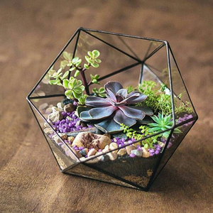Lightning Decoration Geometric Glass Terrarium Hanging Vase Home Decor Wedding & Diwali <b>Lighting</b> Item Gift <b>Plants</b> Terrarium - Product Image 1