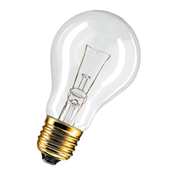 Ampoule Incandescente 60W E27 A60 à Base en Laiton, Verre Transparent, Lampe Basse Tension 50V, 810lm, pour Affichage Industriel et Usage Général