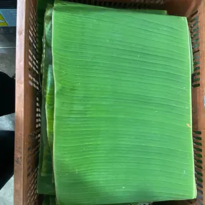 冷凍バナナリーフベトナム高品質低価格OEM