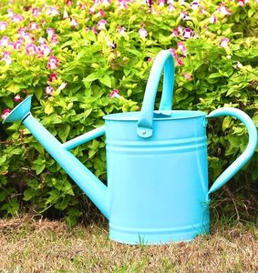 Un meilleur ami du jardin Arrosoirs pratiques et chics Verser Perfection Arrosoirs élégants pour chaque maison - Product Image 3